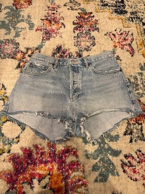 Agolde Light Blue Washed Denim Cutoff Shorts